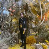 福临门大丰收不一样的玉米展