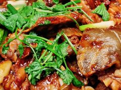 -金龙·打边炉(南京西路店)