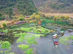 -靖西鹅泉风景区