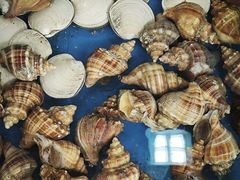 -粤盛海鲜平价店(洛溪食街店)