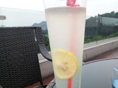 特调柠檬汁-忆咖啡观景餐厅(桂林象山公园店)