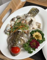 -宝生月子中心(独栋园林·福田店)