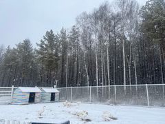 -长白山华美胜地滑雪场