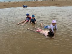 -日照海滨国家森林公园