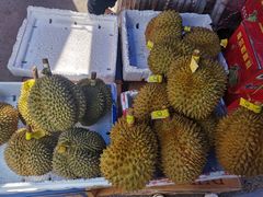-双福水果批发市场