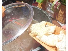 -芸山季·云南山珍菌火锅(人民广场来福士店)