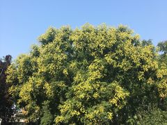 -玲珑塔公园