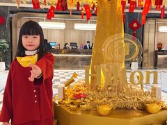 -上海虹桥祥源希尔顿酒店