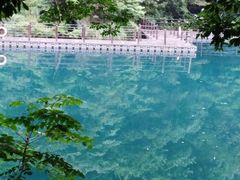 -石台牯牛降景区