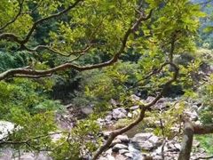-福建天门山