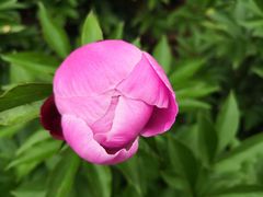 -合肥三国新城遗址公园