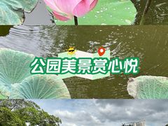 -荔湾湖公园