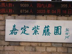 -嘉定紫藤园