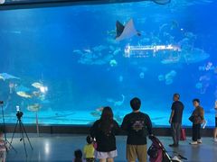 -烟台海昌鲸鲨海洋公园