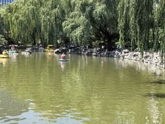 -团结湖公园