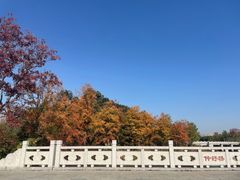 -澹台湖公园