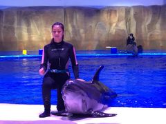 -华夏文旅海洋公园