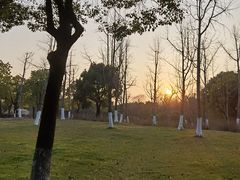 -贡湖湾湿地公园