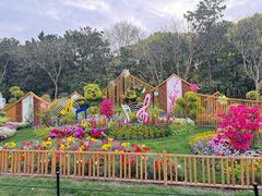 -上海共青森林公园