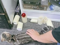 -无趣桌游狼人杀店
