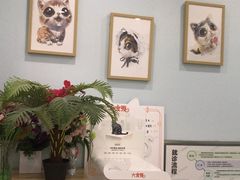 -纳吉亚猫专科动物医院博雅分院