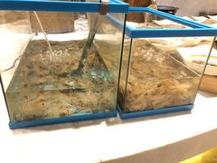 -杭州钱江新城万怡酒店-西餐厅