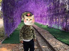 -长洲岛都市农业公园