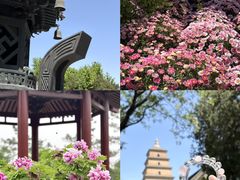 -大慈恩寺(大雁塔)