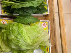 圆生菜-芦月轩羊蝎子(北蜂窝店)