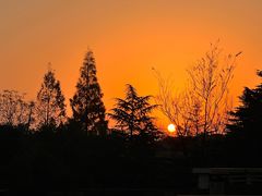 -上海市保健医疗中心