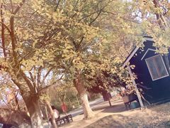 -武汉紫薇都市田园