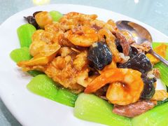 -蓬莱春(芝罘店)