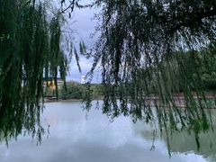 -金桥现代产业园区-停车场