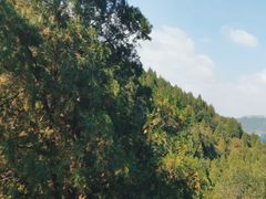 -青州市云门山风景区