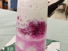 魅惑之城-鼓捣猫呢主题猫咖店