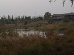 -包头南海湿地景区