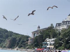 -棒棰岛宾馆景区