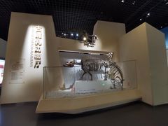 -国家自然博物馆