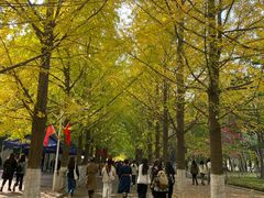 -辽东学院(南校区)