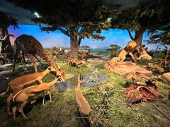 -国家自然博物馆