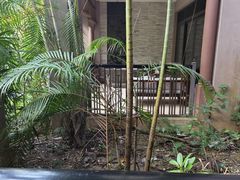 -广州从化都喜泰丽度假温泉酒店