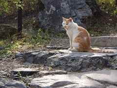-阳台山自然风景区