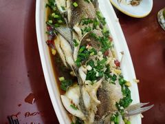 -宾湖农庄·农场特色(太湖龙之梦店)