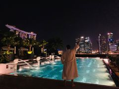 -新加坡乌节希尔顿酒店 (SG Clean)