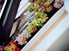 -双季花艺园艺市场(浦东店)