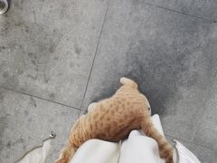 -潮牛壹号鲜牛肉火锅(世界城广场店)