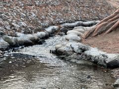 -白水寺森林公园