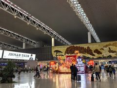 -合肥新桥国际机场-航站楼
