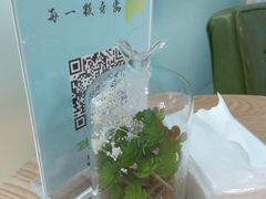 -卫雅仕口腔