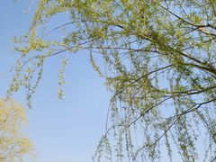 -济南国际园博园